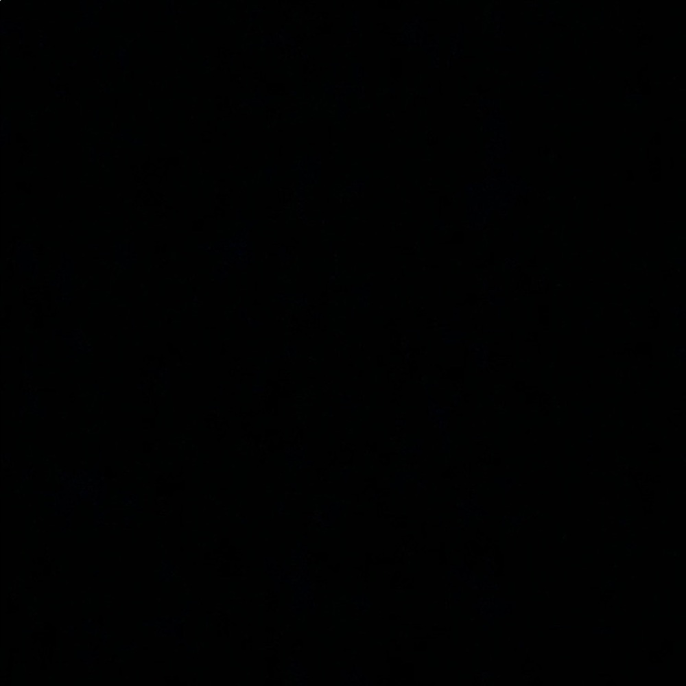 Meet your Posher, Rosie